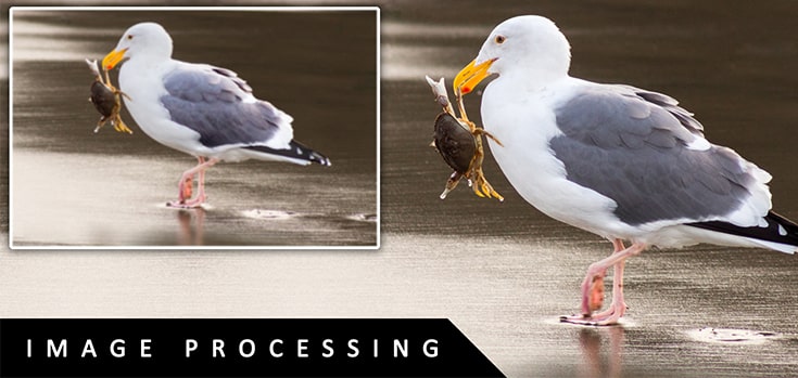 top-five-benefits-of-image-processing-service